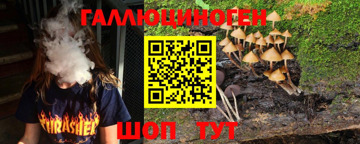Галлюциногенные грибы GOLDEN TEACHER  Вход с VPN  Самара  Галлюциногенные грибы ЛСД 