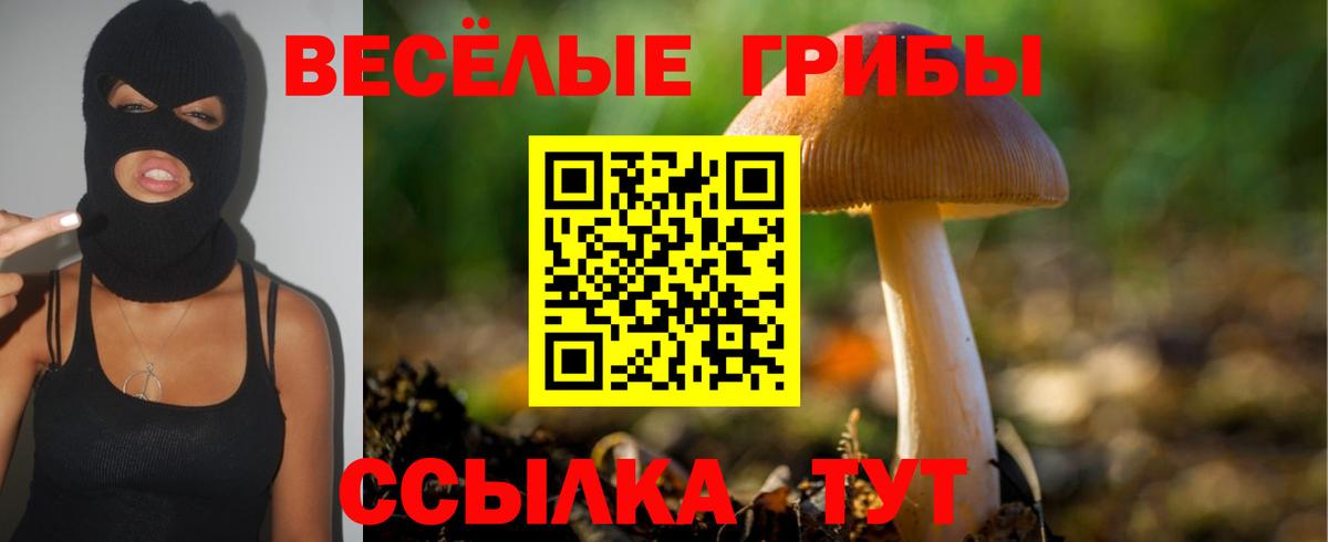 Галлюциногенные грибы прущие грибы Самара